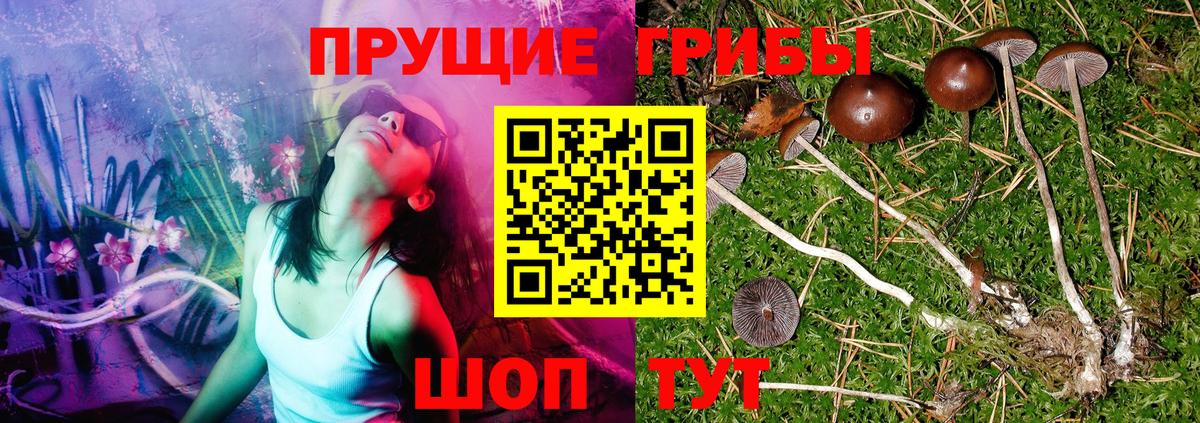 Черняховск  Галлюциногенные грибы ЛСД  Вход с VPN 